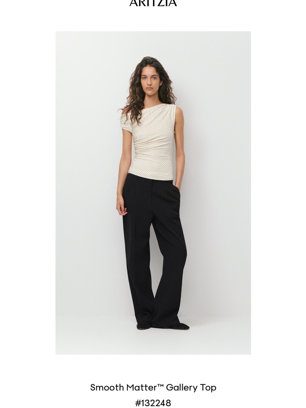 Babaton Wide-Leg Pants in Black